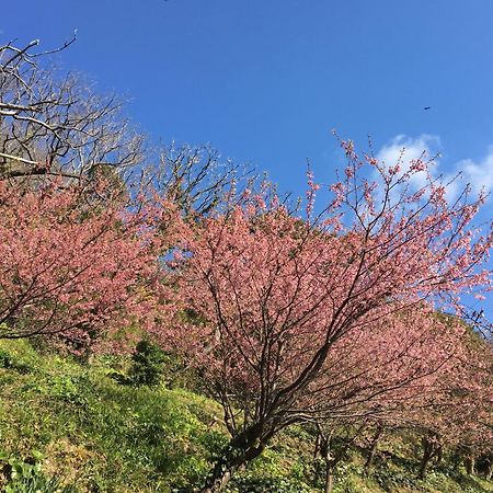 Dogashima Onsen Hotel Нишиизу Екстериор снимка