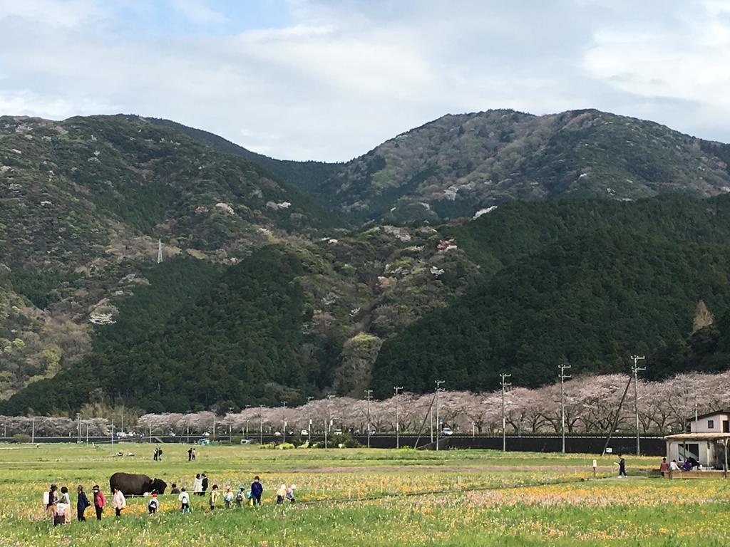 Dogashima Onsen Hotel Нишиизу Екстериор снимка