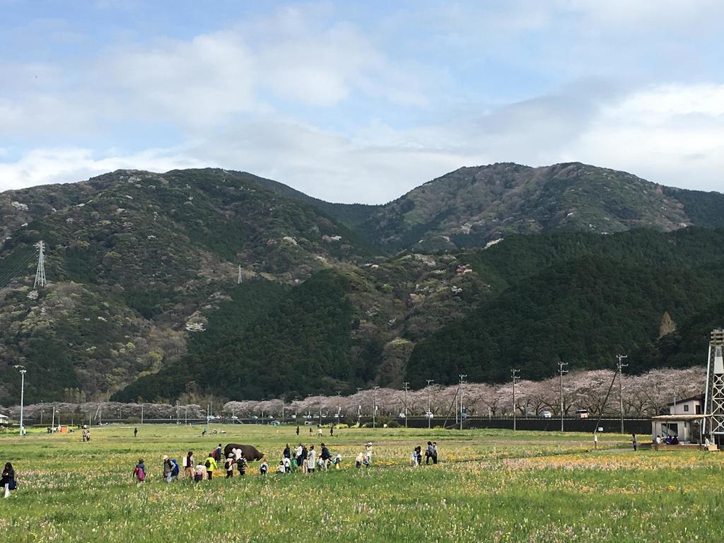 Dogashima Onsen Hotel Нишиизу Екстериор снимка